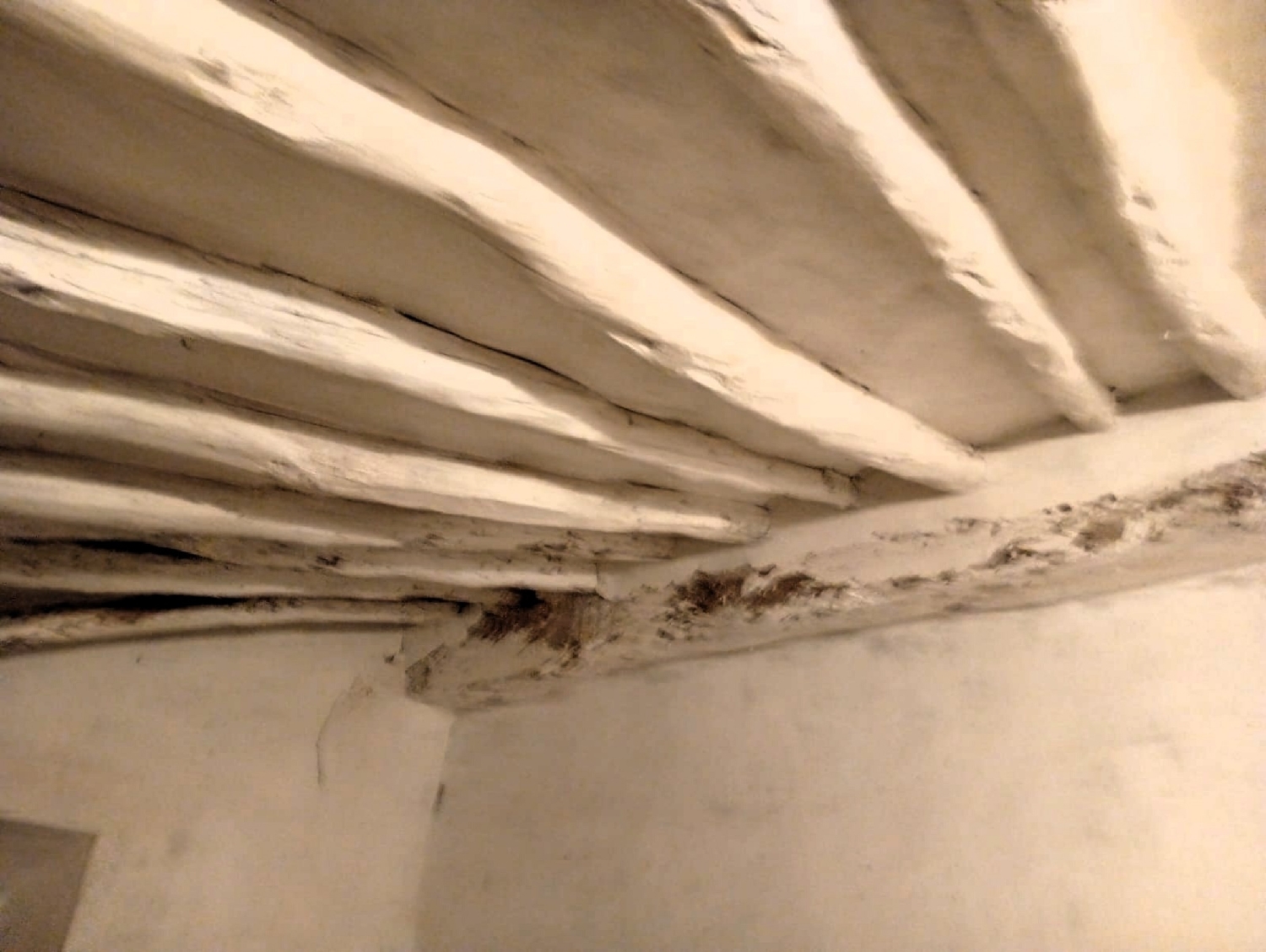  for sale country house Salinas Alt Vinalopó 20