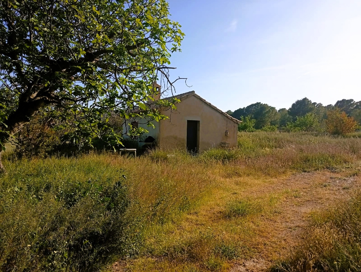 for sale country house Salinas Alt Vinalopó 7