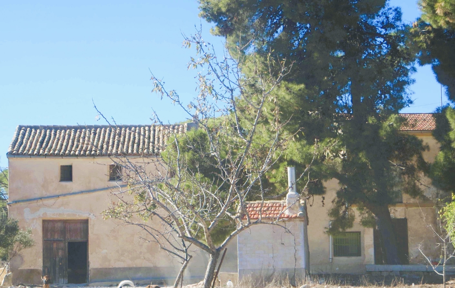  for sale country house Salinas Alt Vinalopó 1