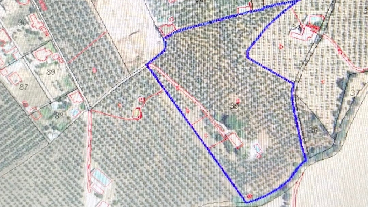  kaufen Landhaus Setenil De Las Bodegas Sierra De Cádiz 7