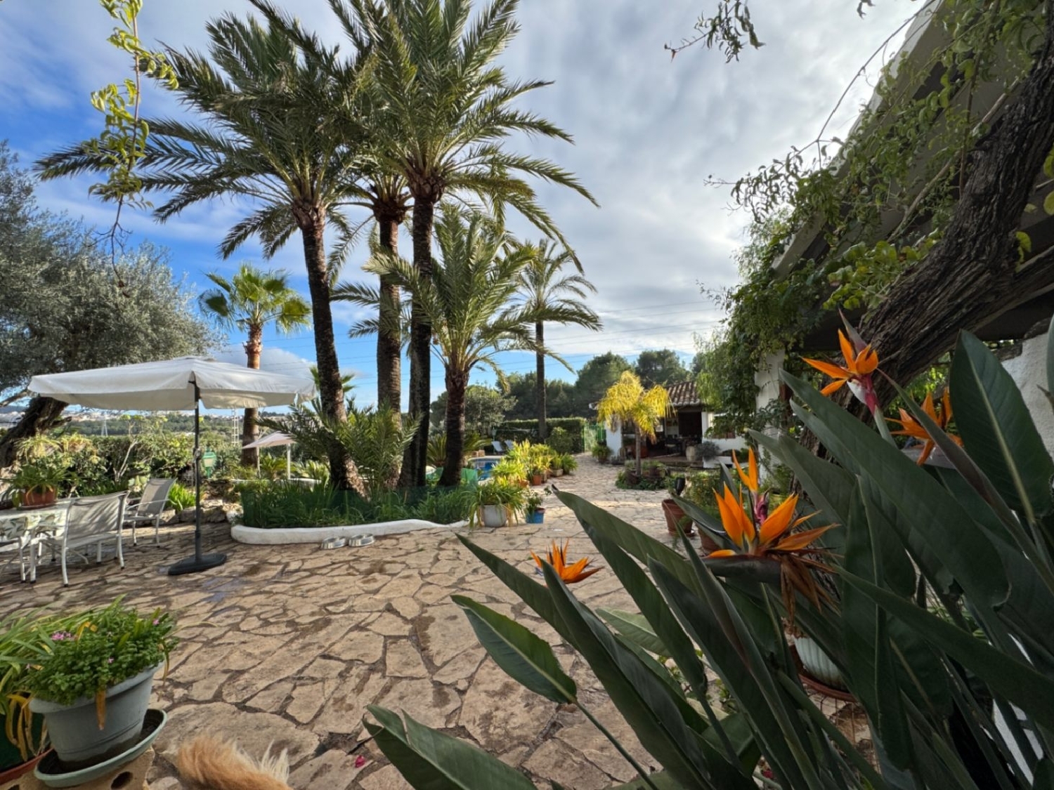  à vendre maison de campagne Teulada Marina Alta 7