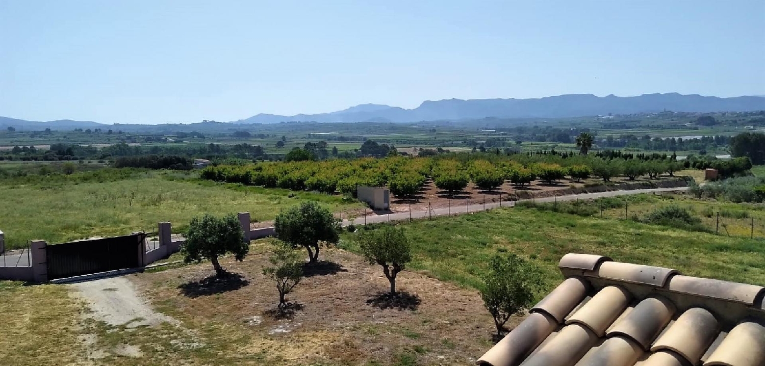  à vendre villa Torrevieja Baix Segura 5