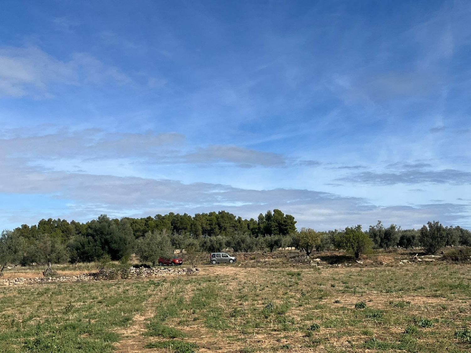  till salu hus på landet Valderrobres Matarraña 7