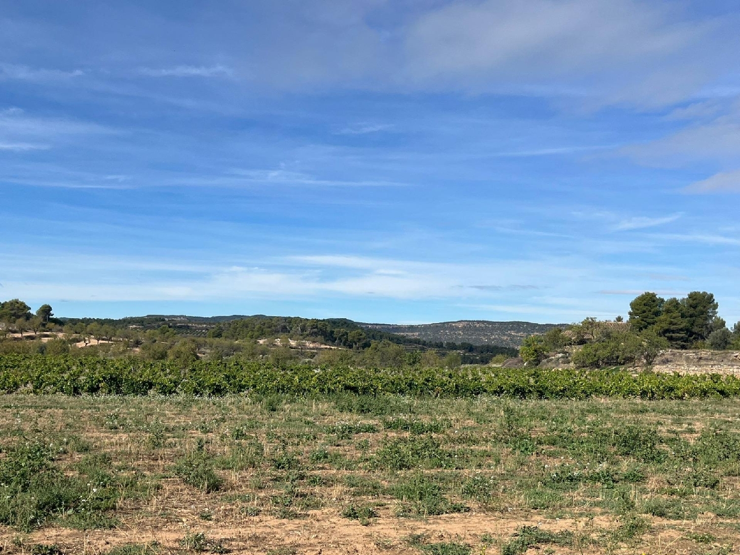  till salu hus på landet Valderrobres Matarraña 3
