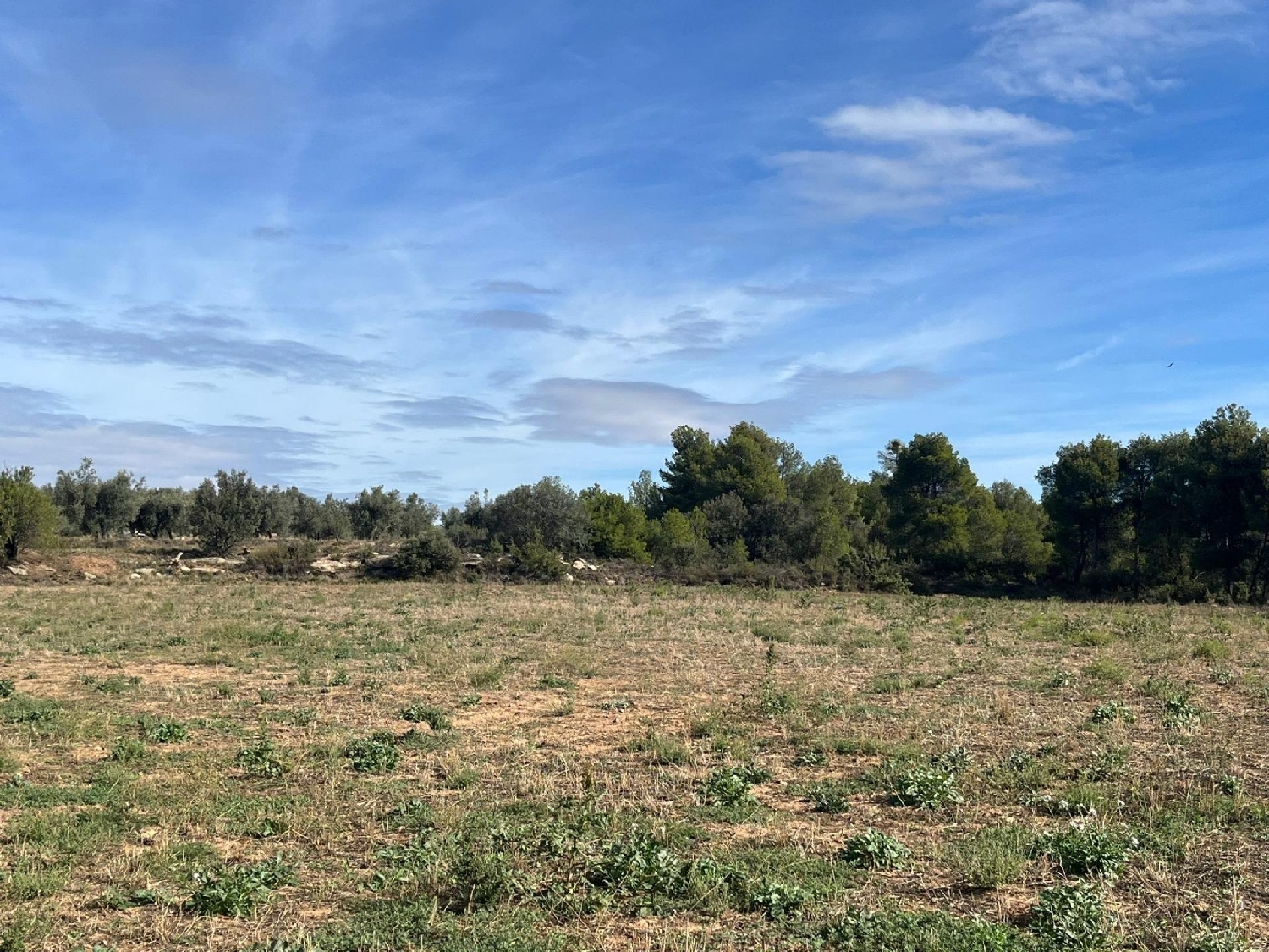  till salu hus på landet Valderrobres Matarraña 6