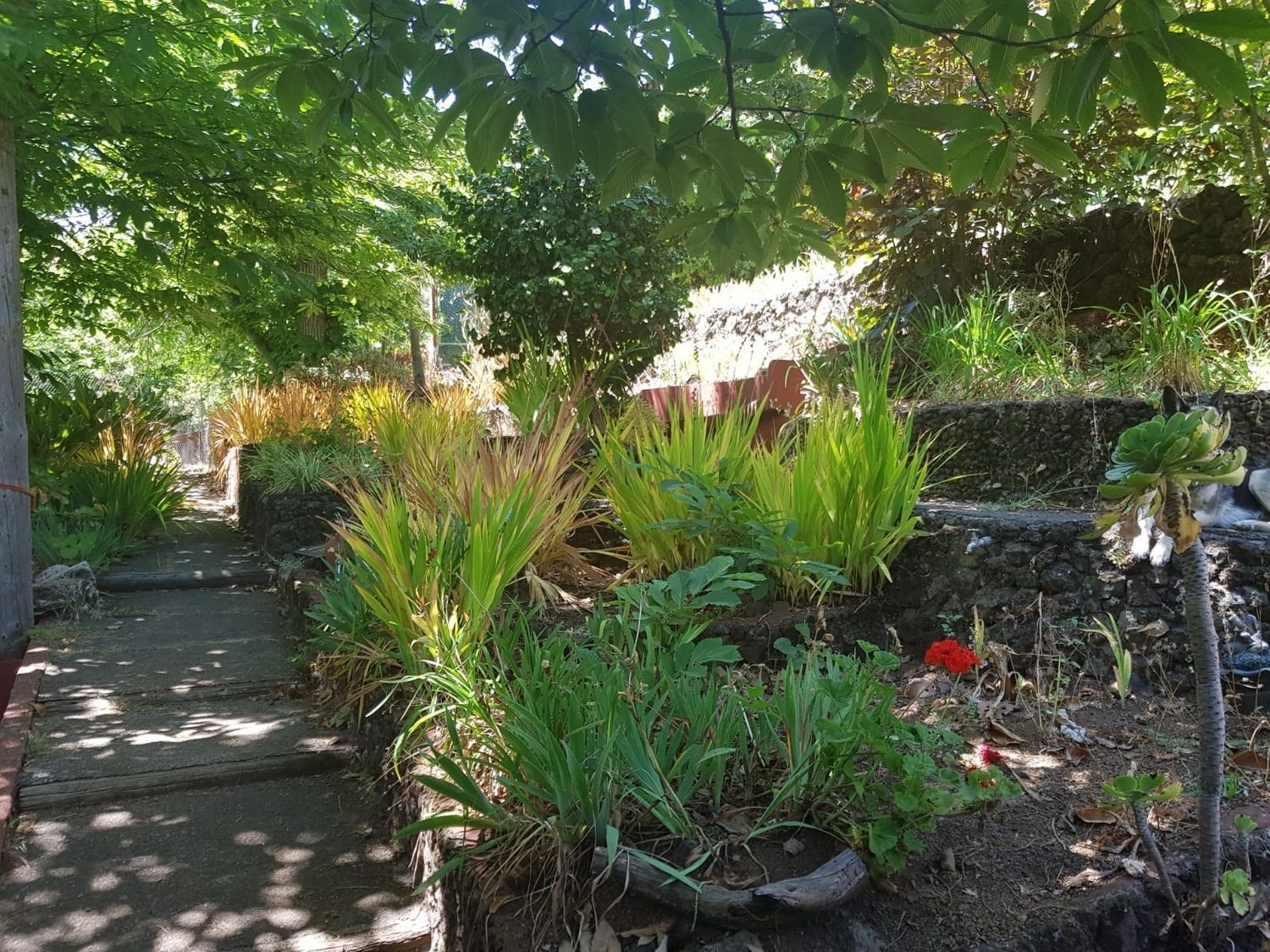  à vendre maison de campagne Vega De San Mateo Área Centro 3