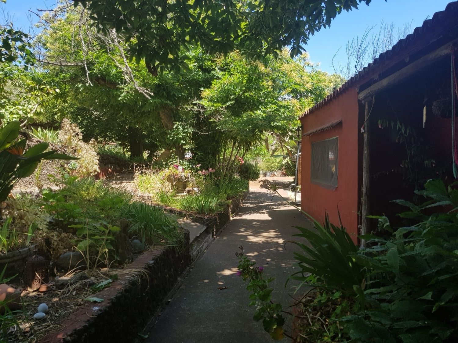  à vendre maison de campagne Vega De San Mateo Área Centro 4