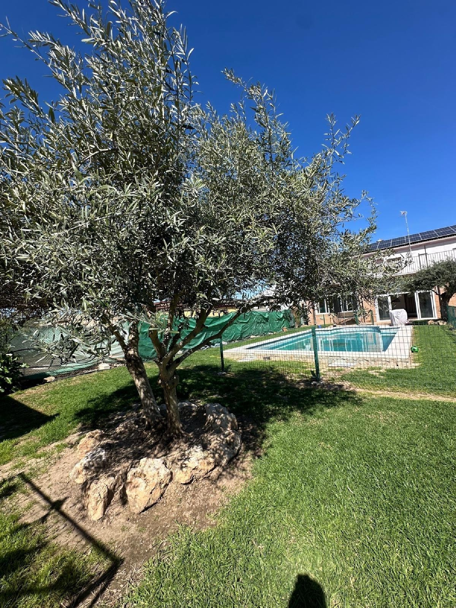  kaufen Landhaus Villafranca De Córdoba Alto Guadalquivir 7