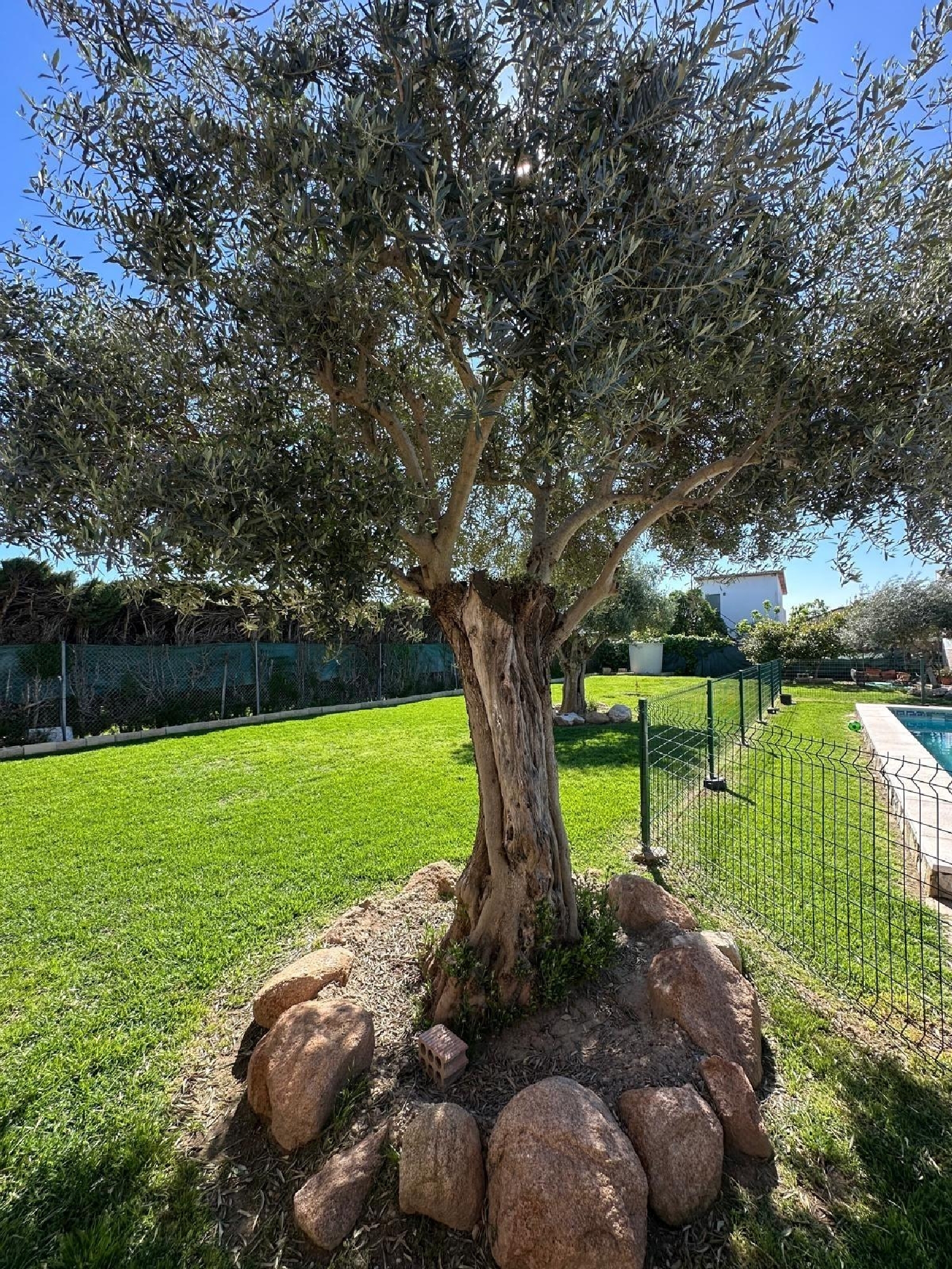  kaufen Landhaus Villafranca De Córdoba Alto Guadalquivir 4
