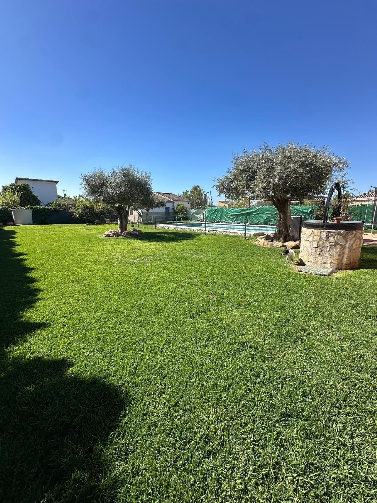  kaufen Landhaus Villafranca De Córdoba Alto Guadalquivir 6