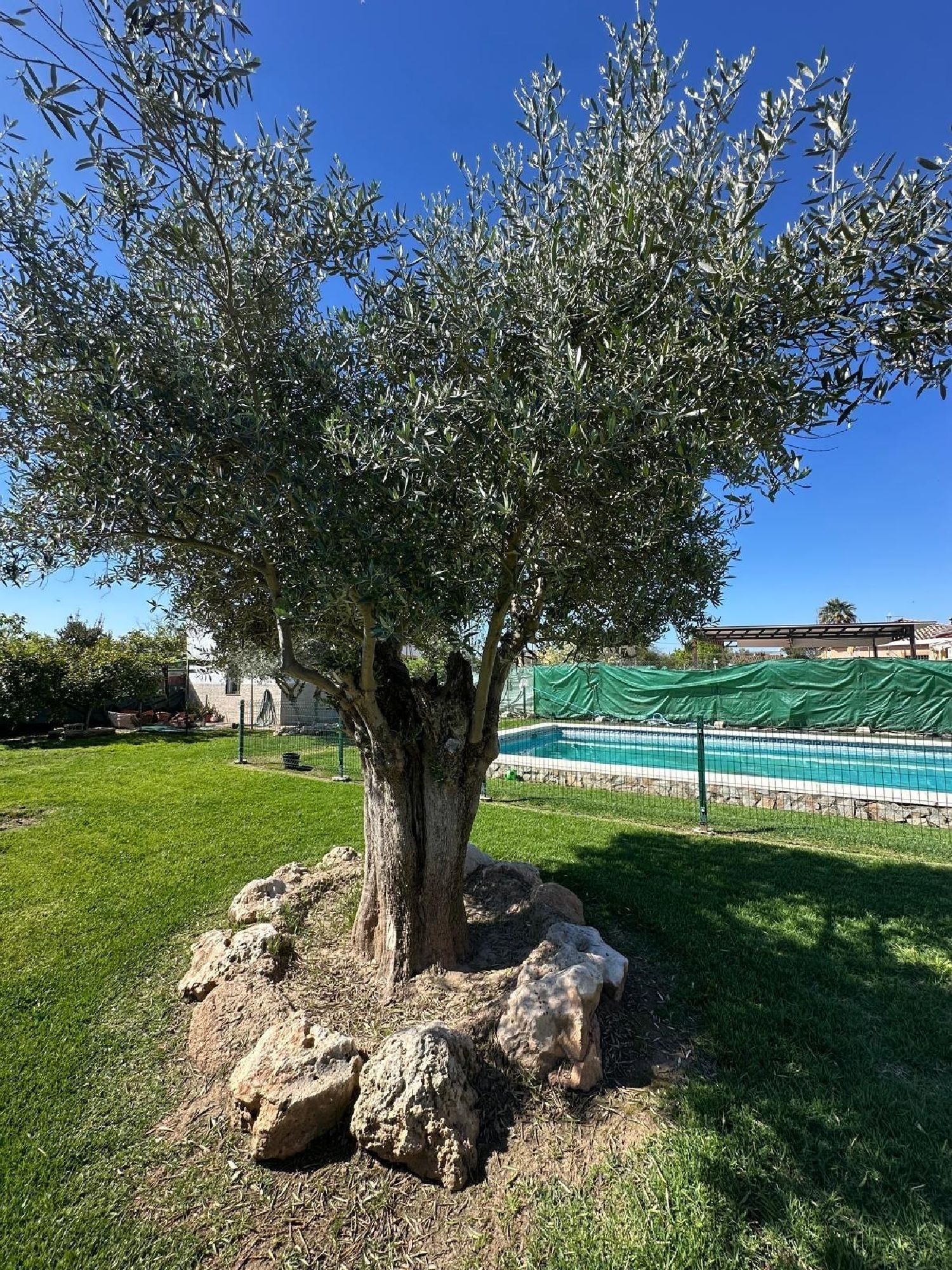  kaufen Landhaus Villafranca De Córdoba Alto Guadalquivir 2
