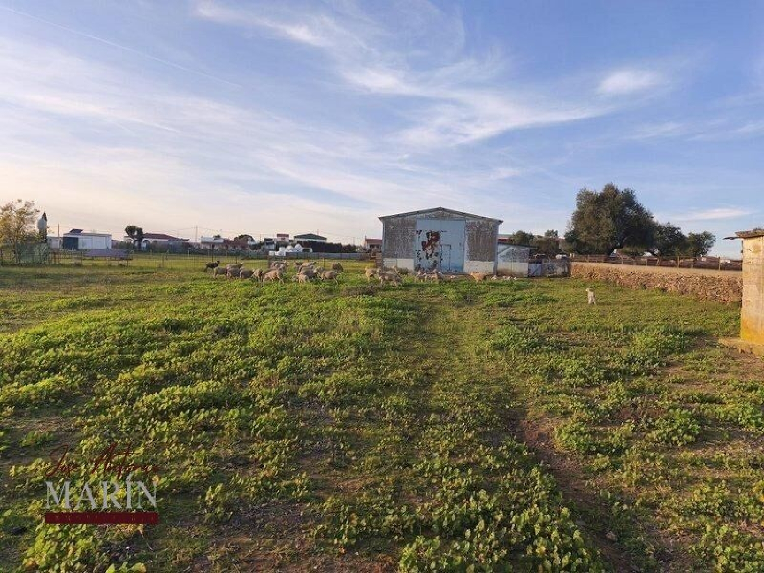  kaufen Landhaus Villanueva Del Fresno Olienza 5