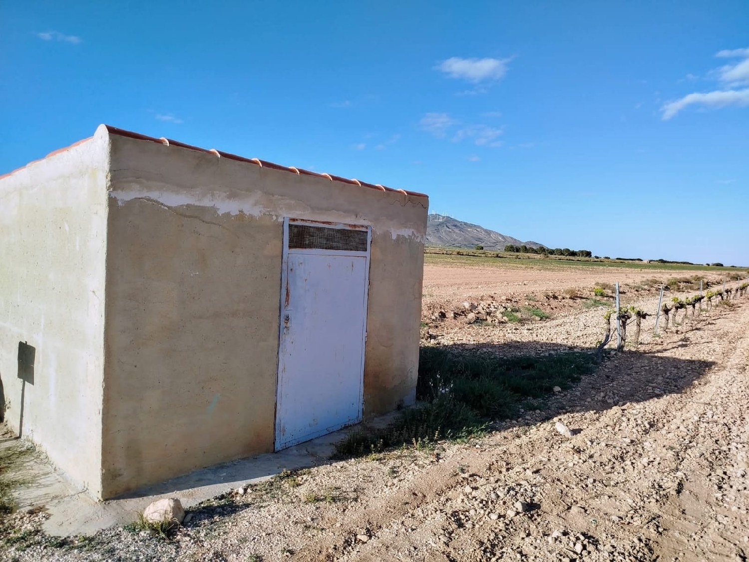 te koop boerderij Yecla Altiplano 7