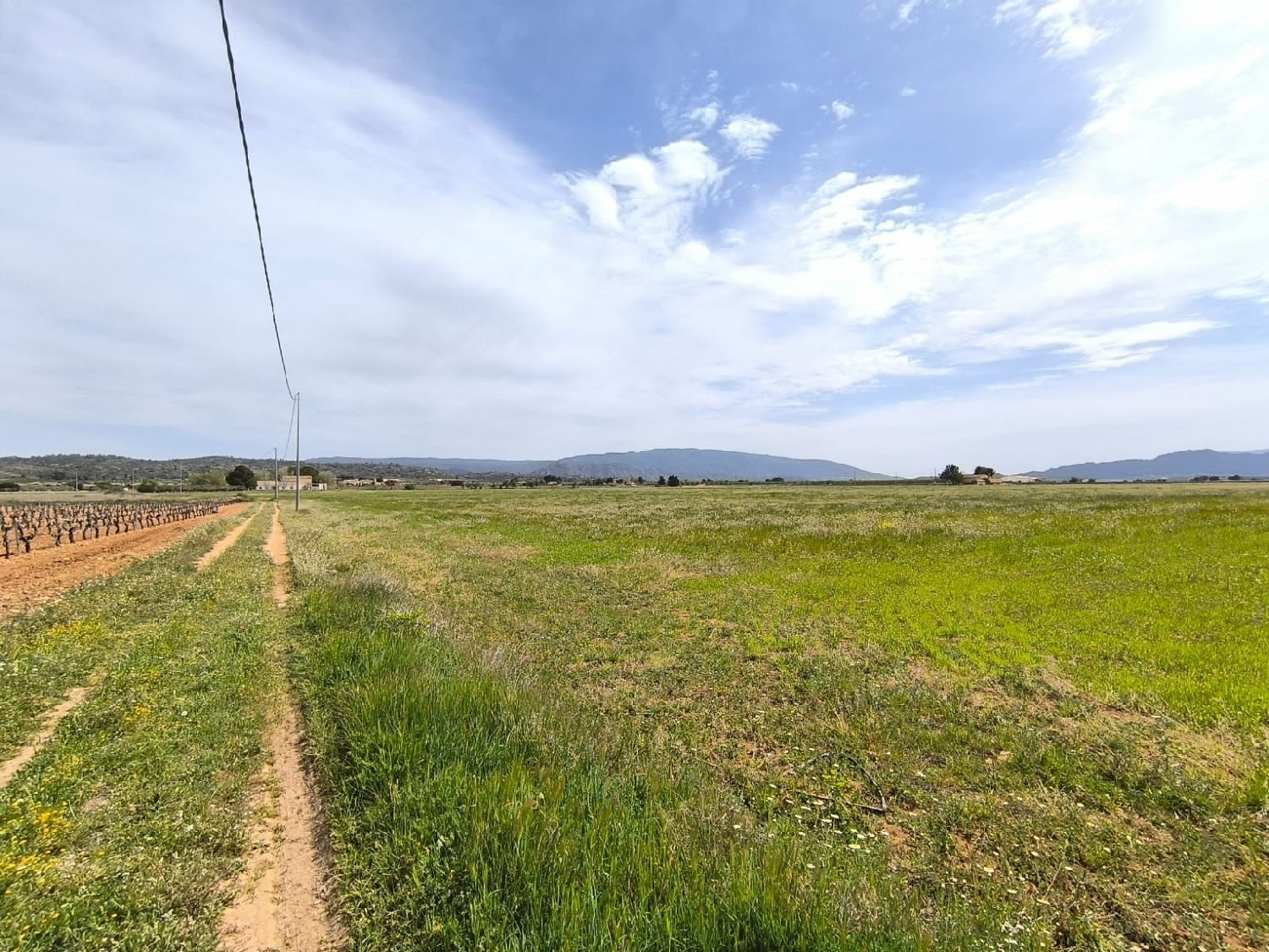 till salu hus på landet Yecla Altiplano 8