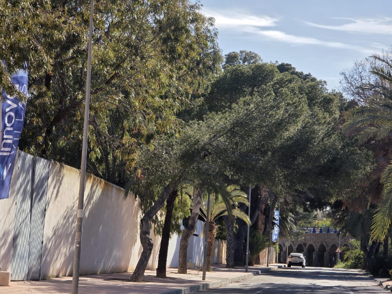  for sale ground floor Orihuela Costa Baix Segura 2