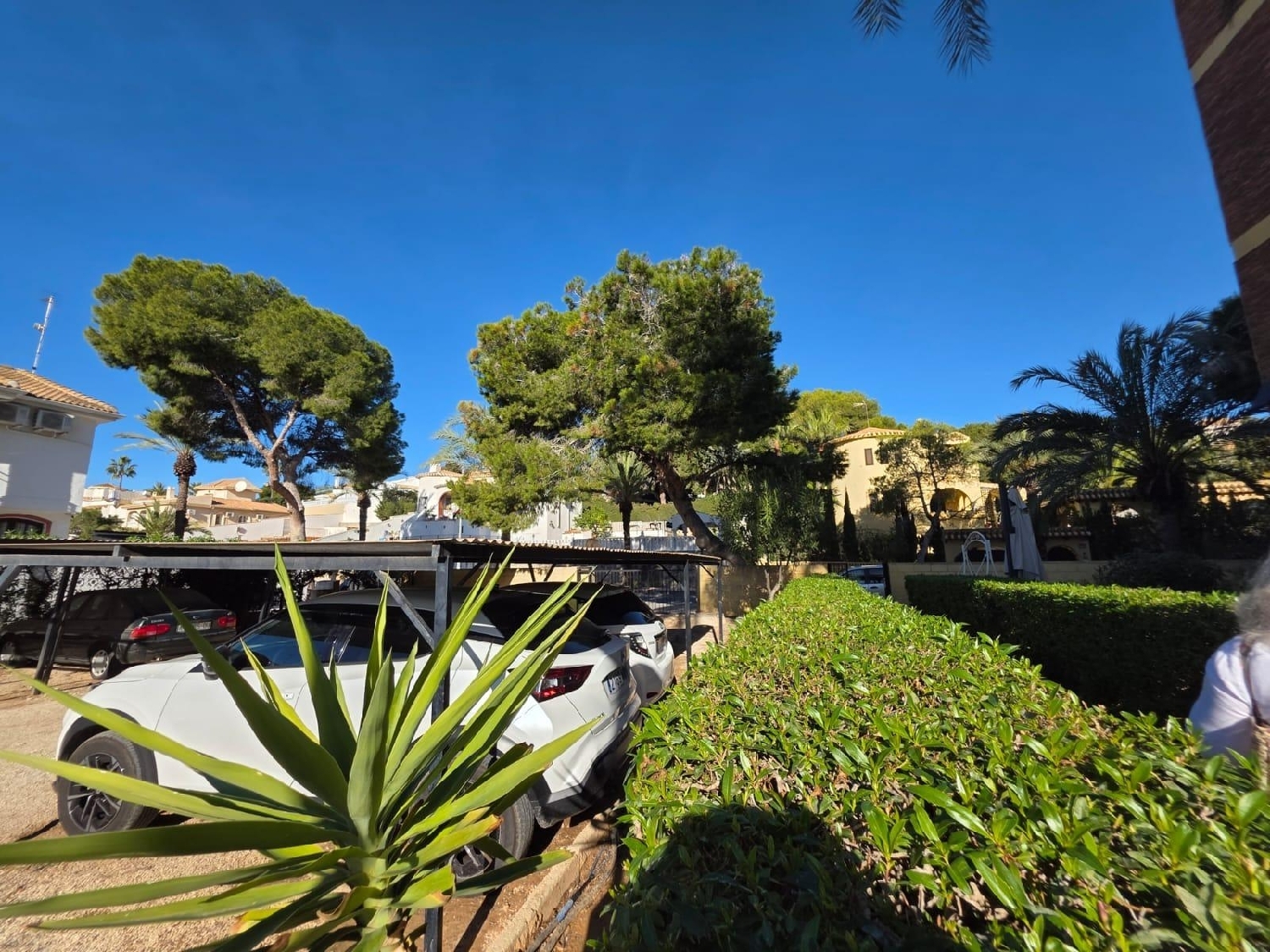  for sale ground floor Orihuela Costa Baix Segura 6