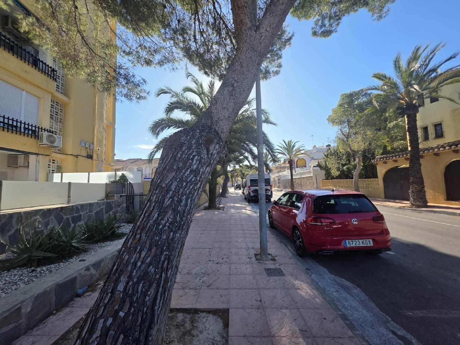  for sale ground floor Orihuela Costa Baix Segura 3
