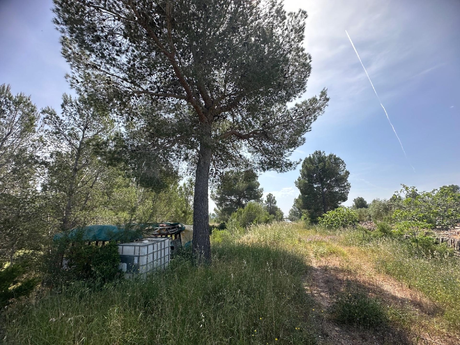  till salu hus Aldover Baix Ebre 4