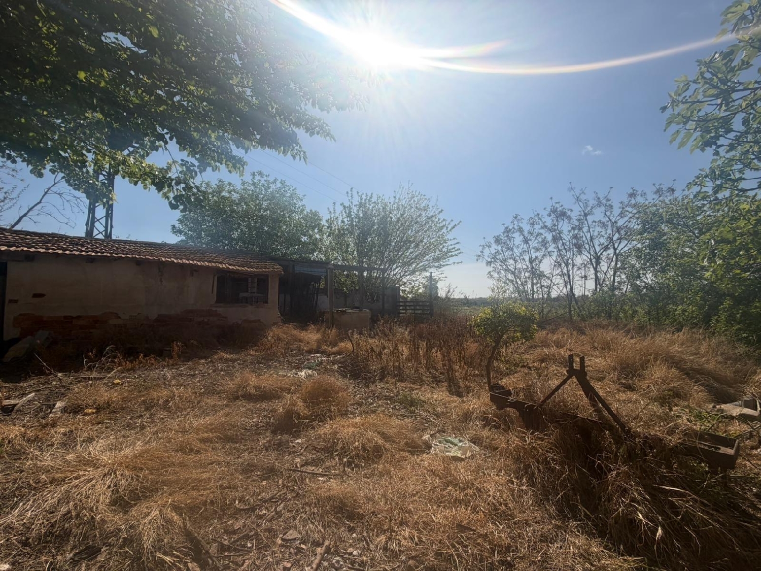  à vendre maison Almoradí Baix Segura 2