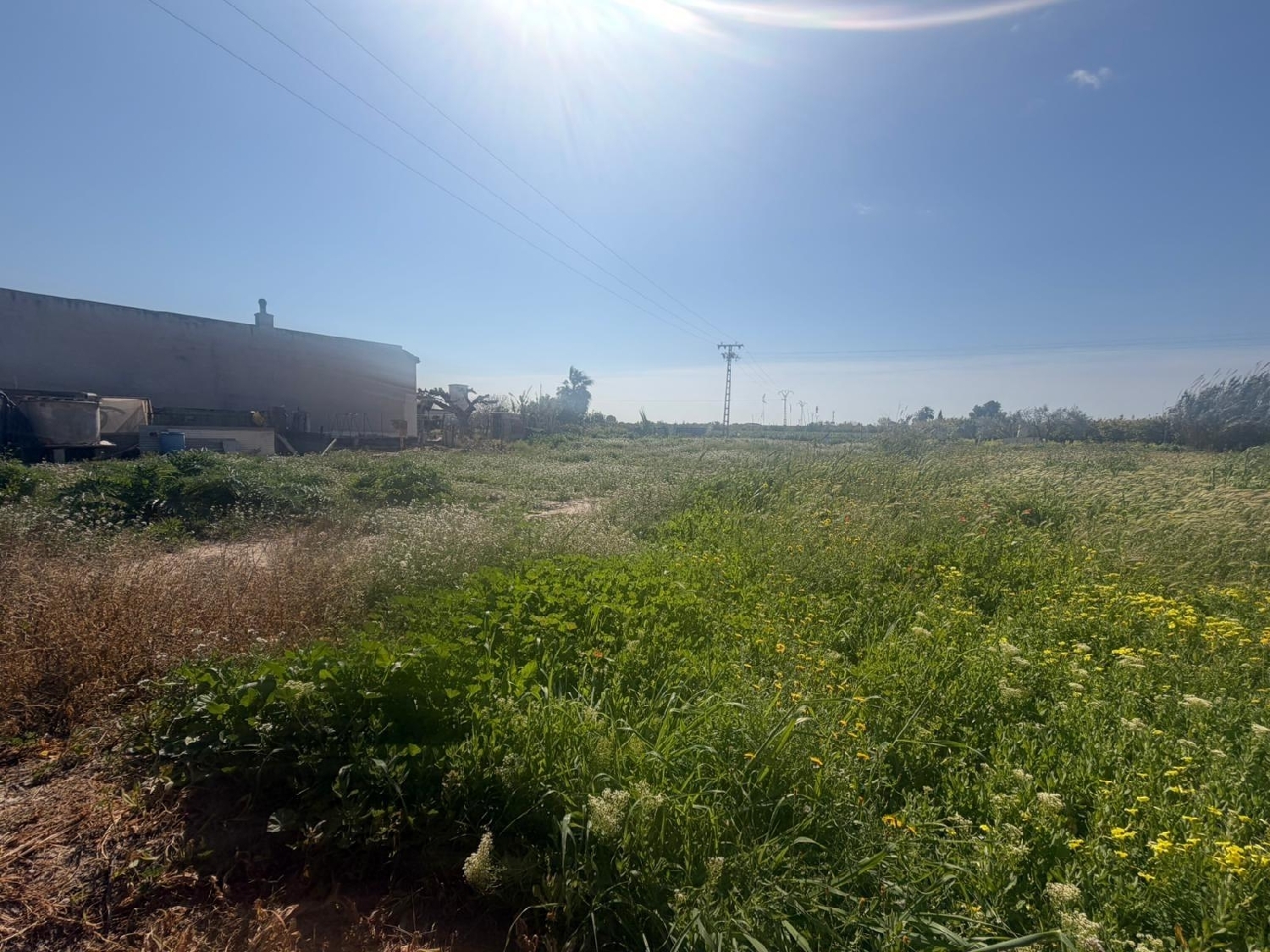  à vendre maison Almoradí Baix Segura 3