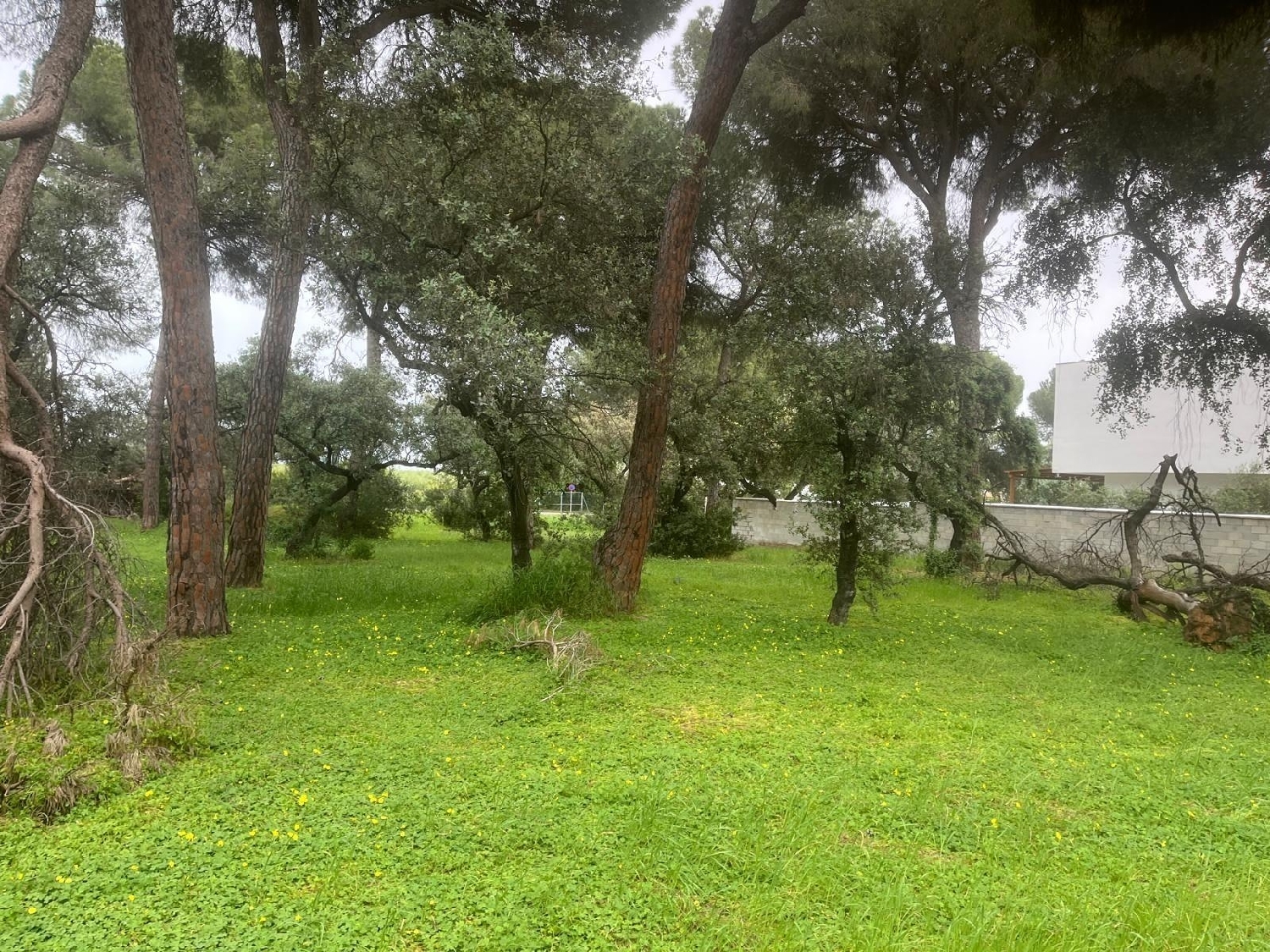  kaufen Haus Bollullos De La Mitación Aljarafe 7