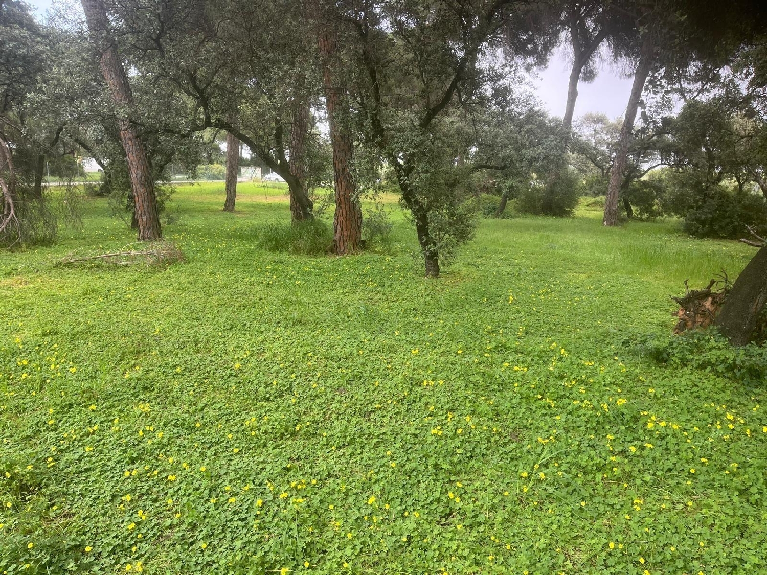  kaufen Haus Bollullos De La Mitación Aljarafe 4