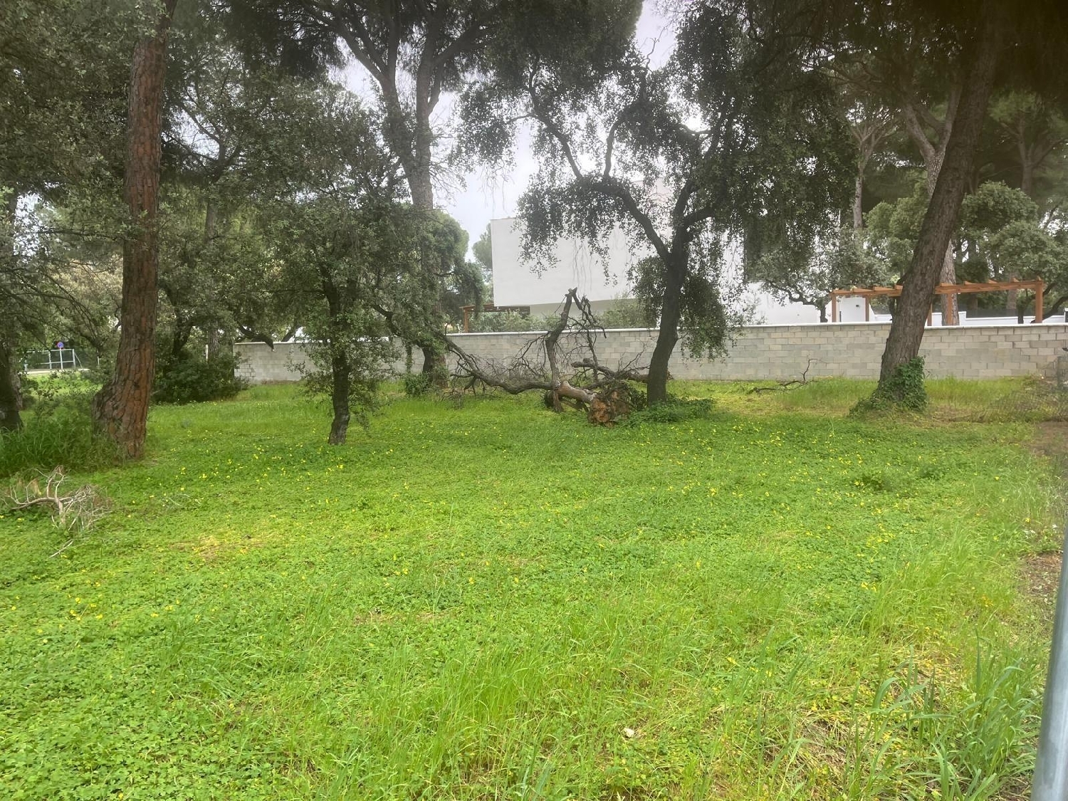  kaufen Haus Bollullos De La Mitación Aljarafe 6