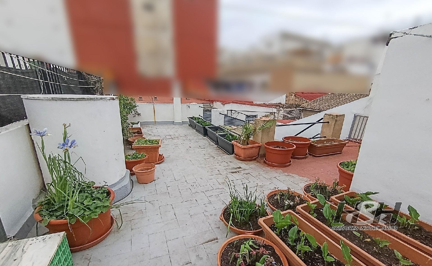  for sale house Burjassot Horta Nord 3