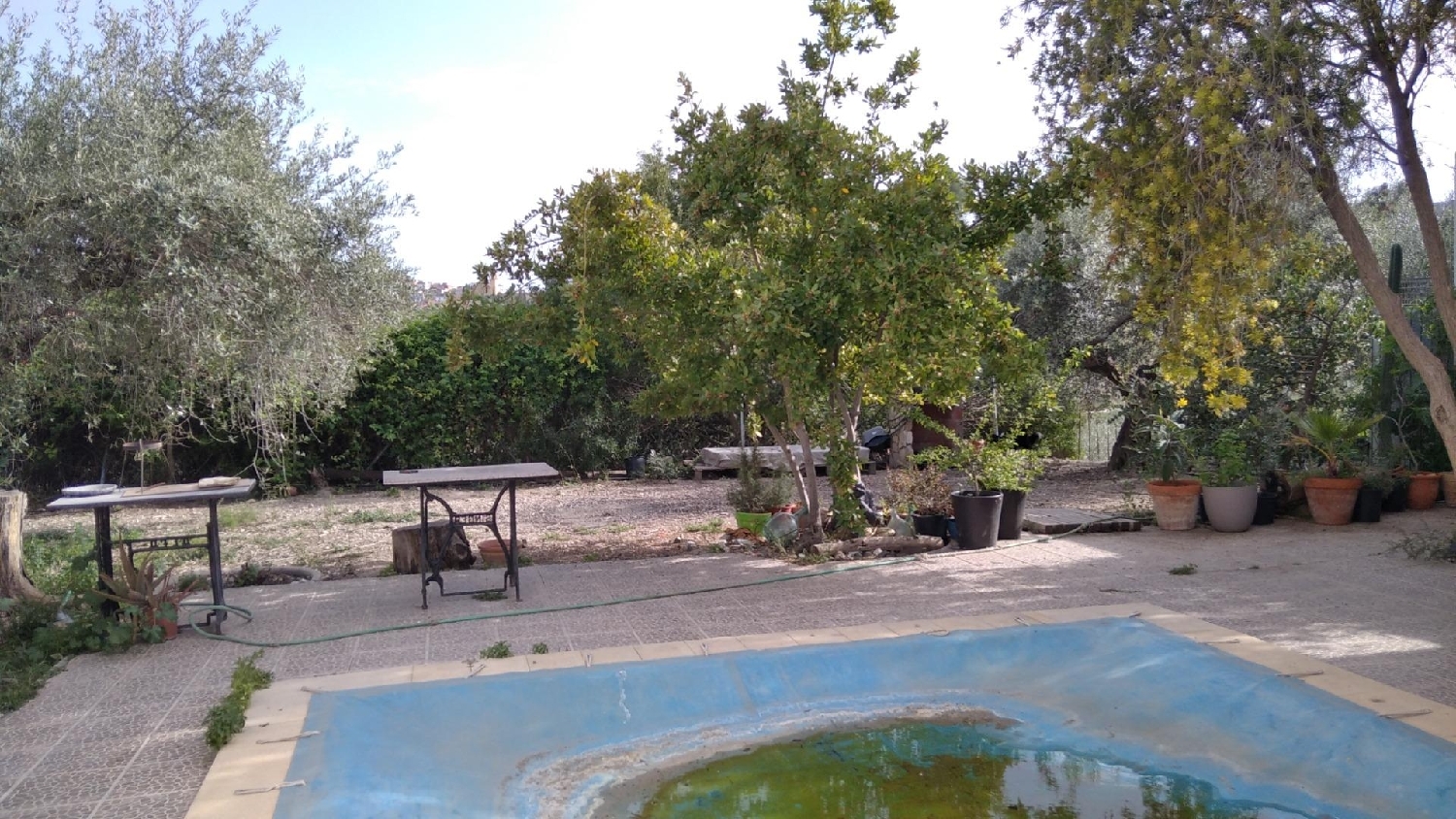 kaufen Haus Calasparra Noroeste 3