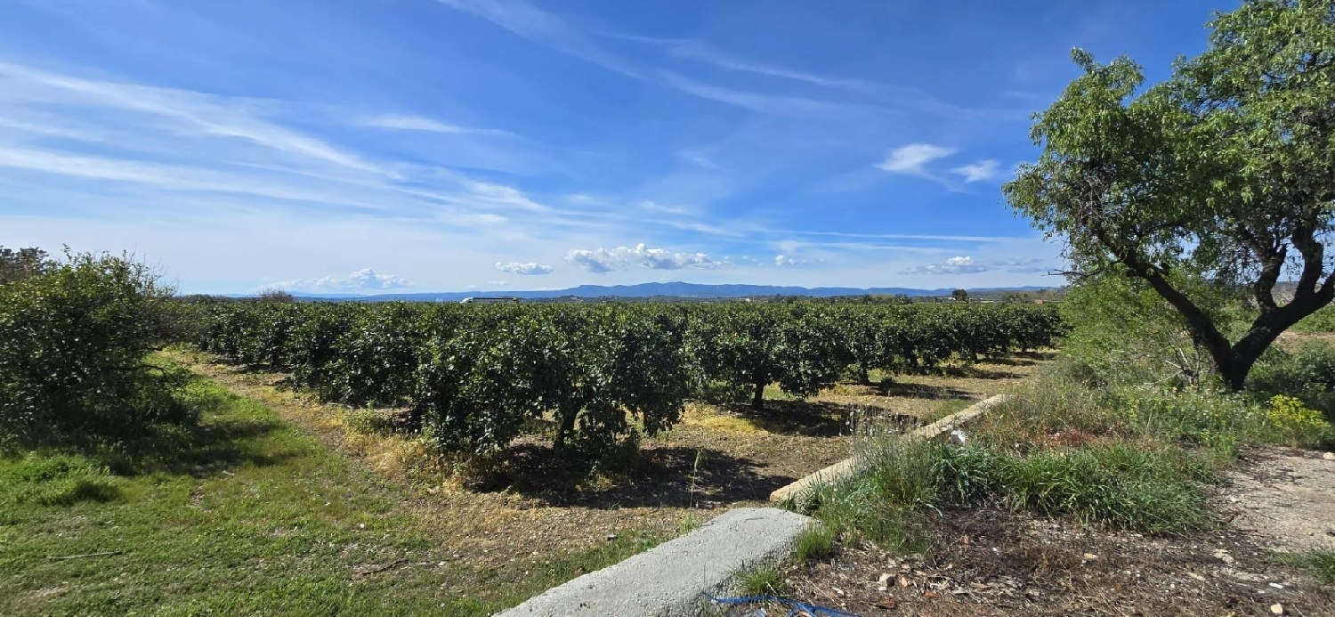  à vendre maison Camp De Lliria Camp De Túria 4