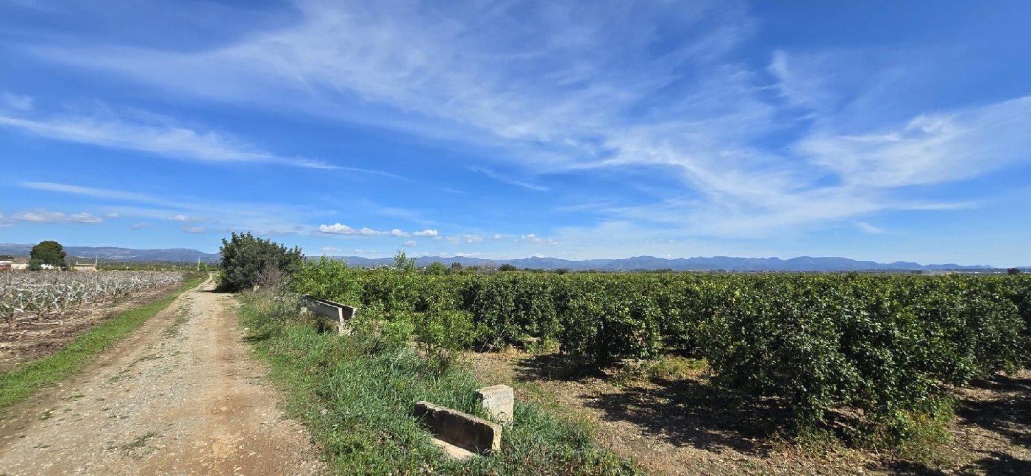  à vendre maison Camp De Lliria Camp De Túria 7