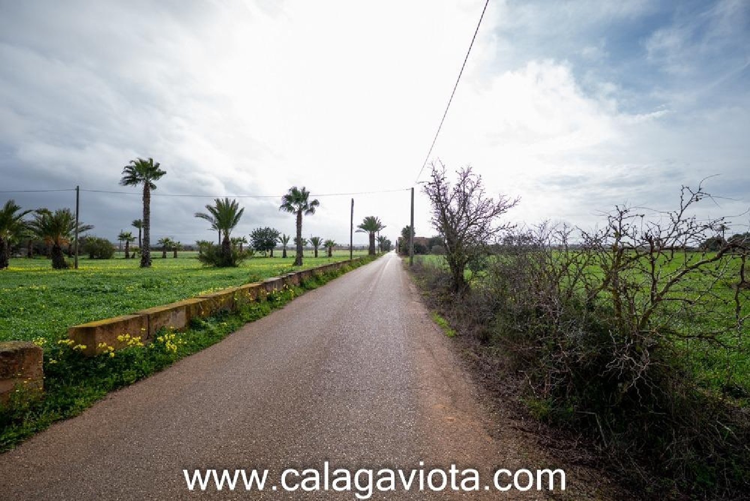  till salu hus Campos Sud 8