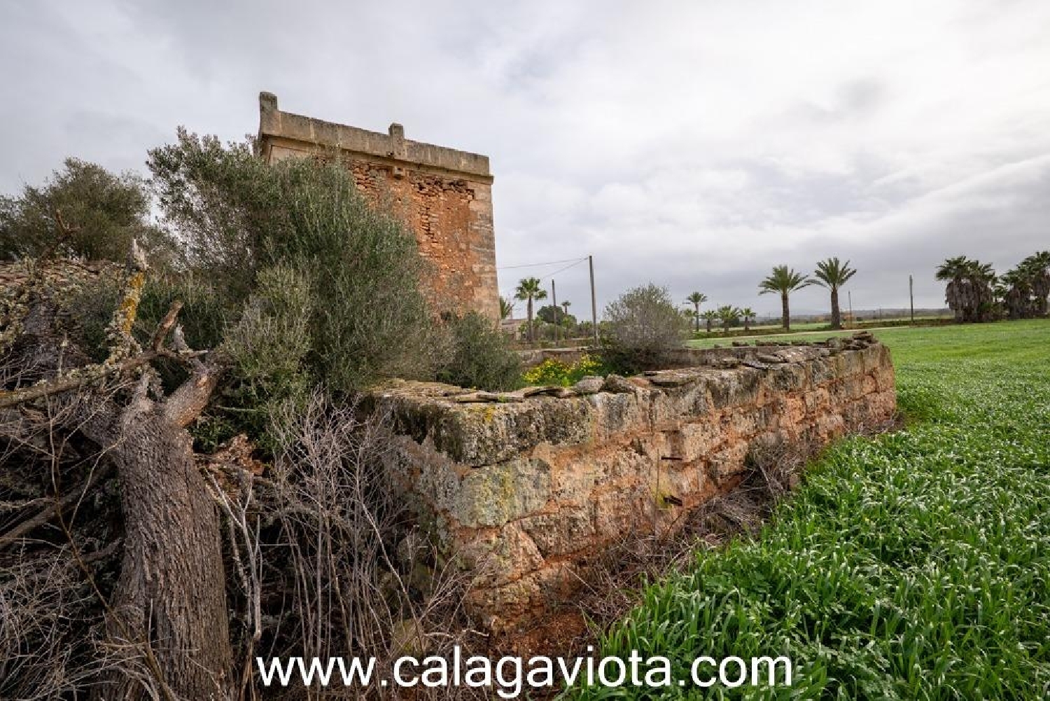  till salu hus Campos Sud 2