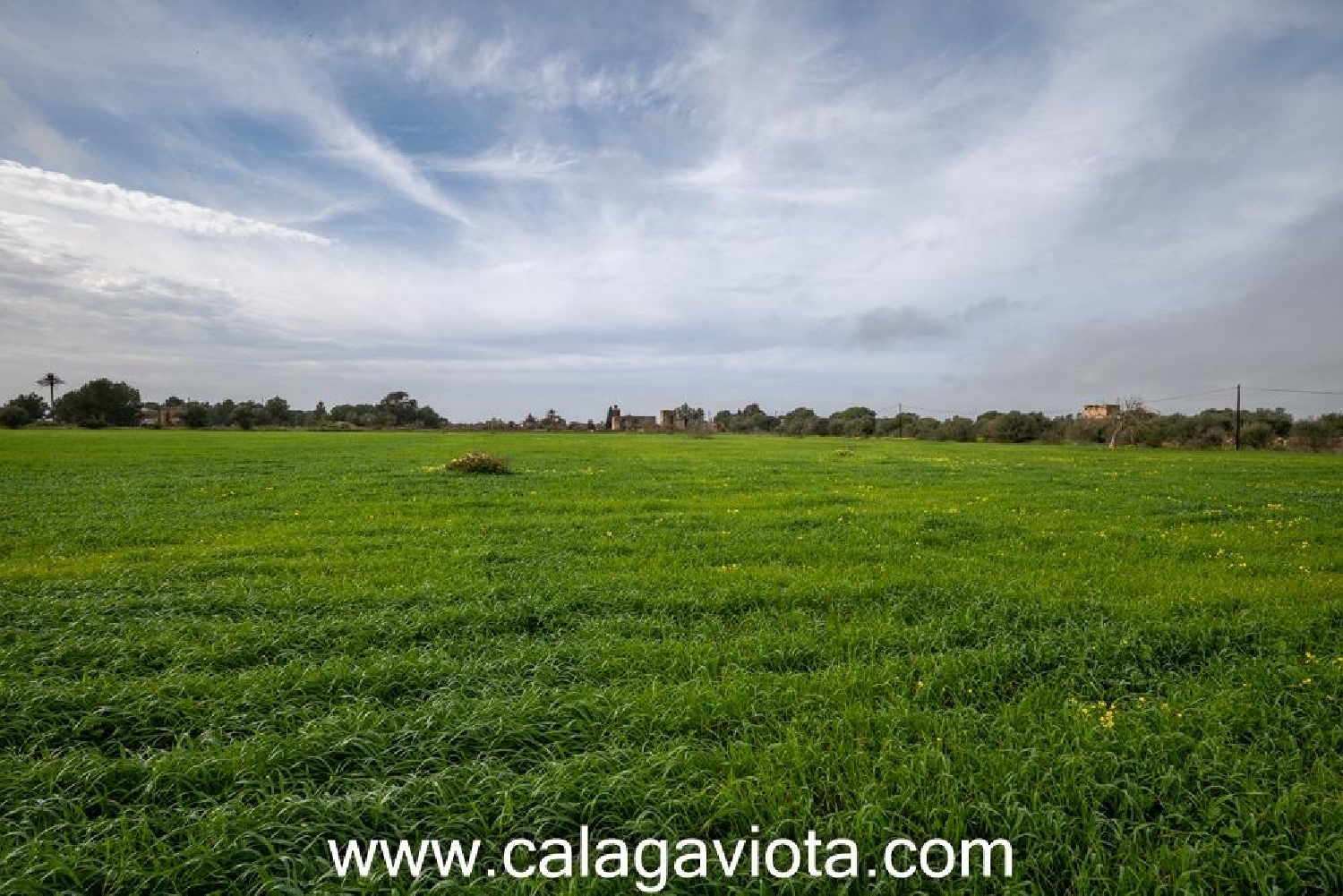  till salu hus Campos Sud 3