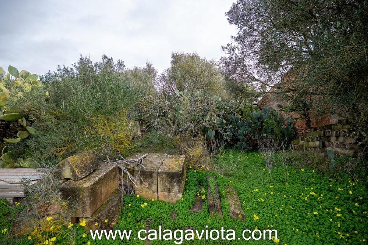  till salu hus Campos Sud 5