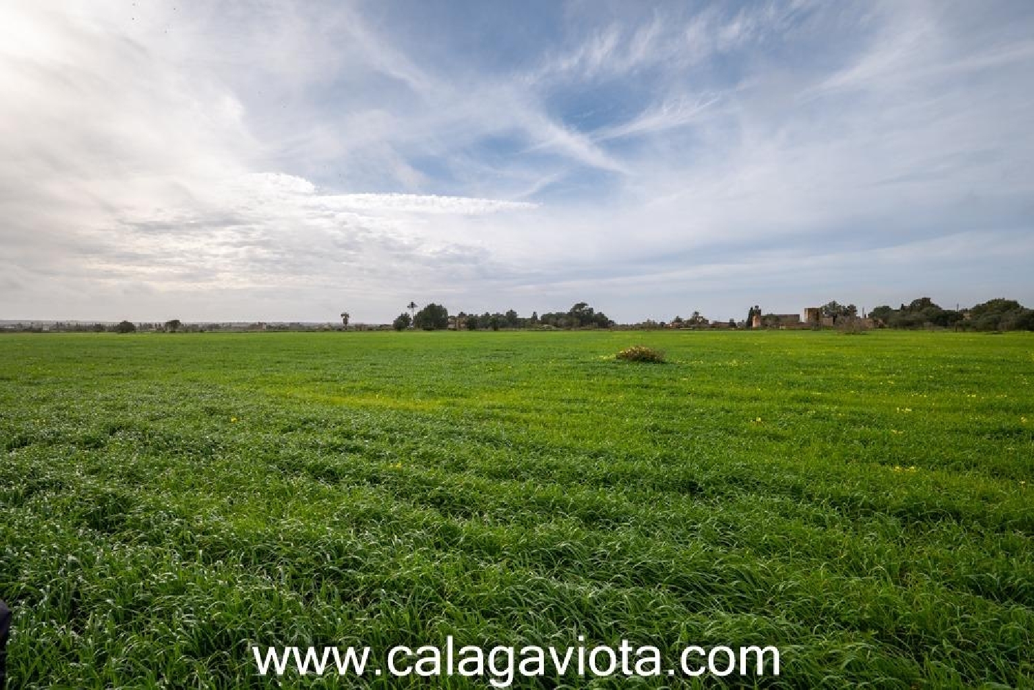  till salu hus Campos Sud 4