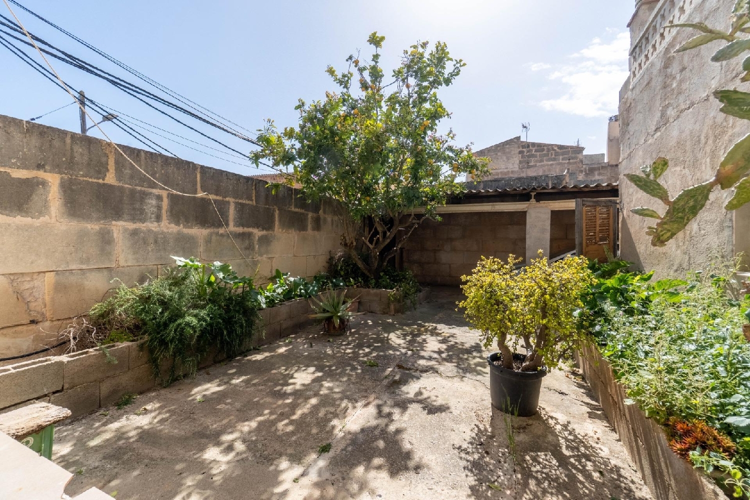  for sale house Campos Sud 3