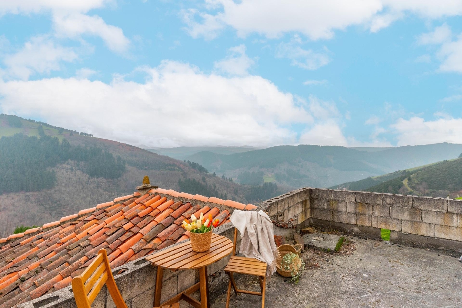  for sale house Cangas Del Narcea Narcea 1