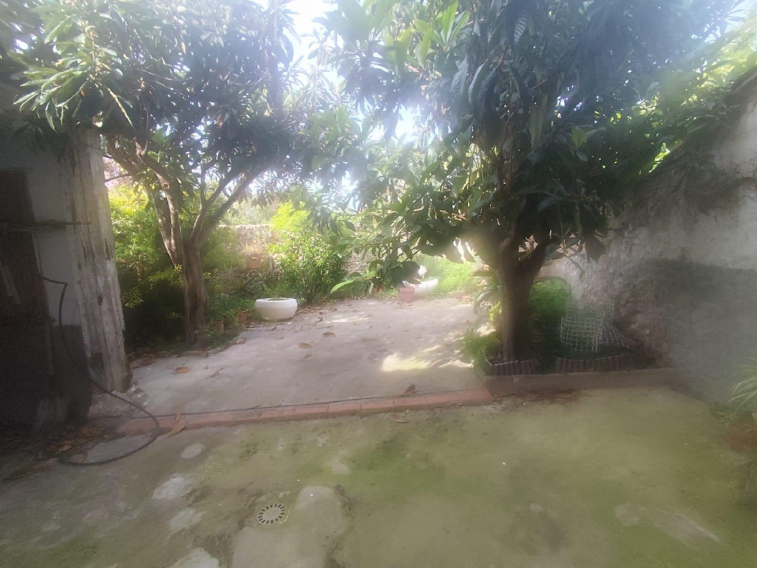  kaufen Haus Càrcer Ribera Alta 8