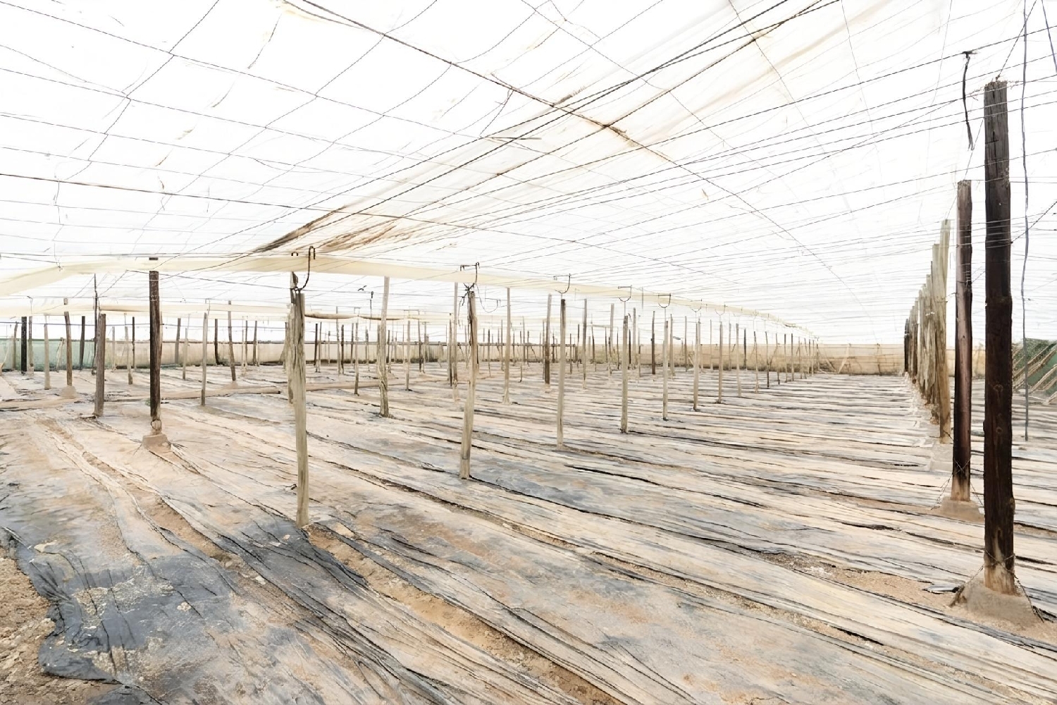 till salu hus Carchuna Costa Tropical 2