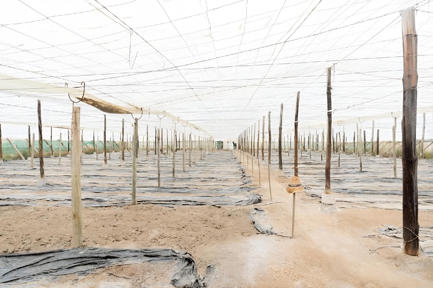 till salu hus Carchuna Costa Tropical 5