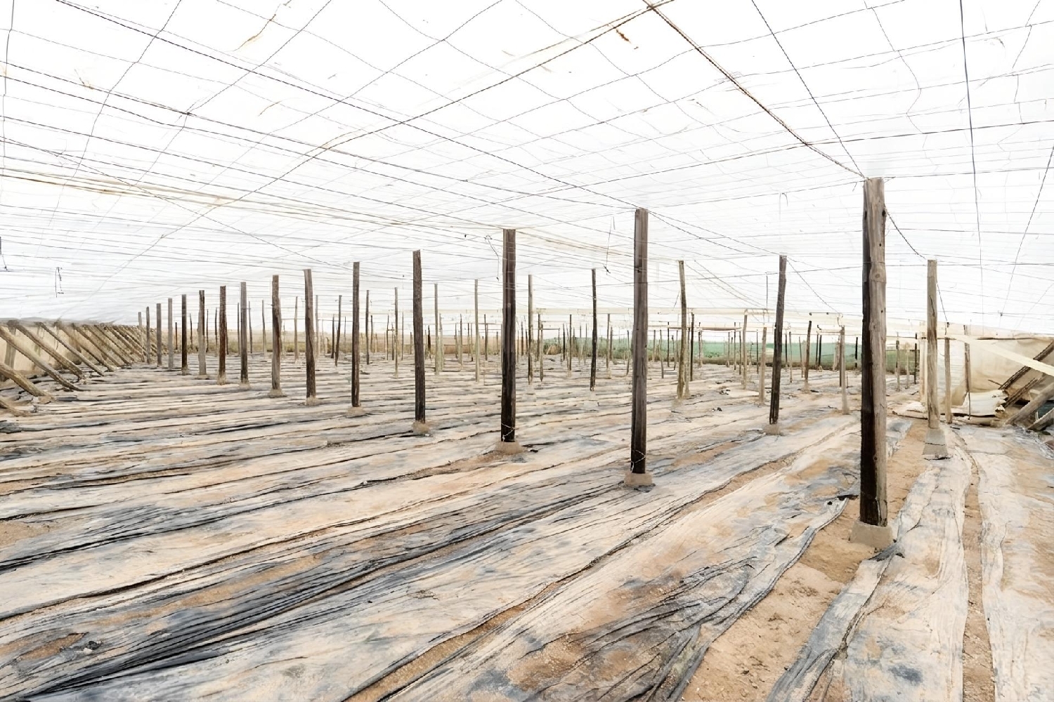 till salu hus Carchuna Costa Tropical 3