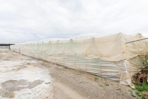 Carchuna Costa Tropical hus foto 6369273