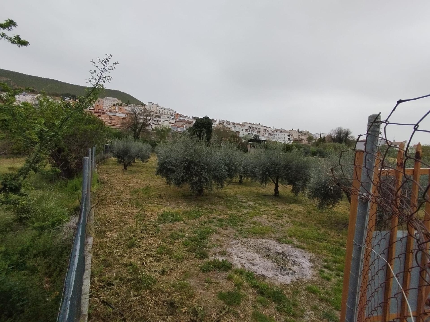  till salu hus Cenes De La Vega Vega De Granada 7