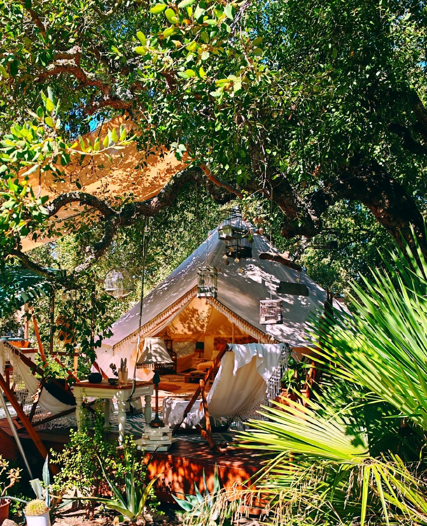  kaufen Haus Chiclana De La Frontera Bahía De Cádiz 3
