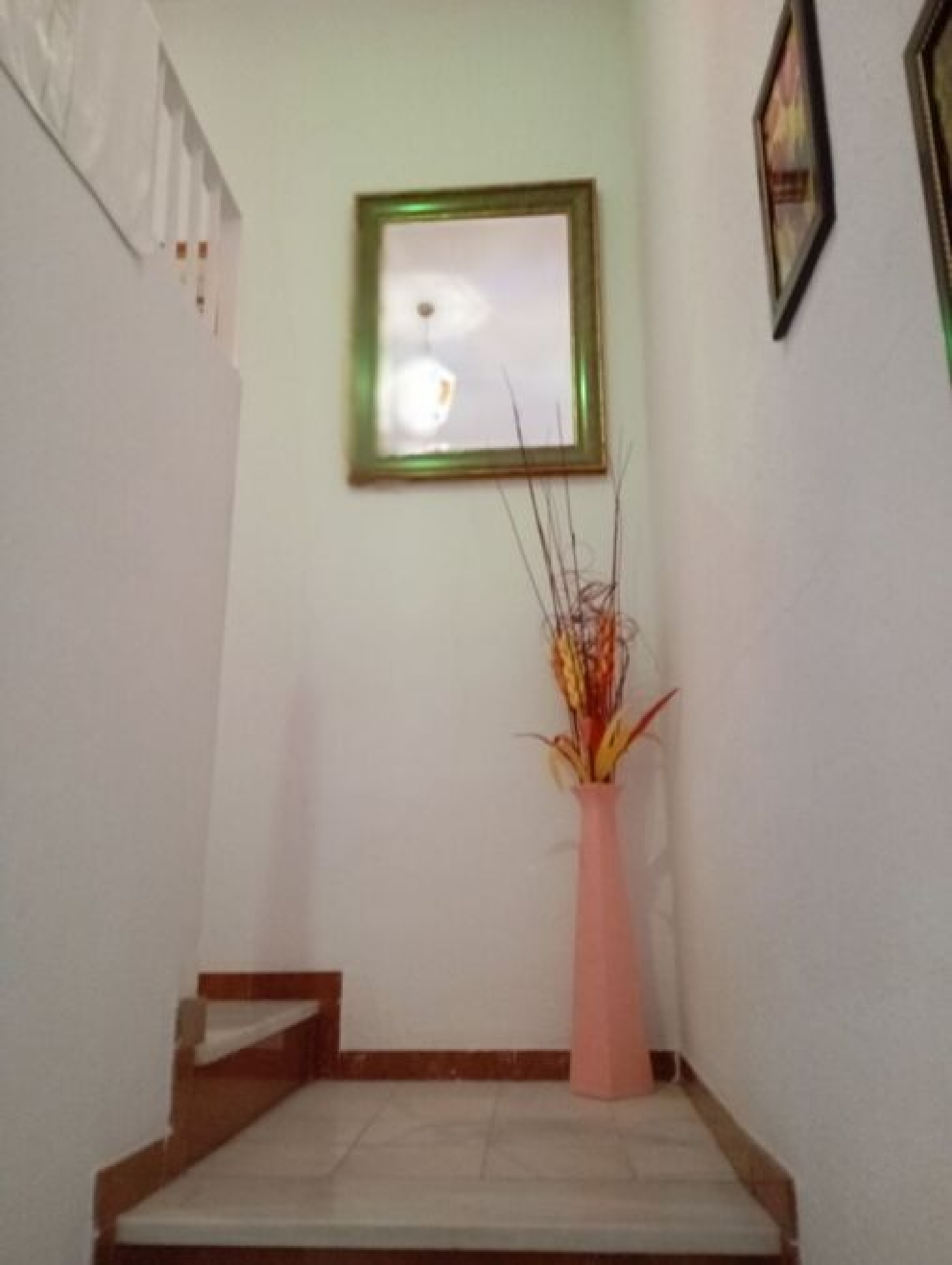  kaufen Haus Daya Vieja Baix Segura 8