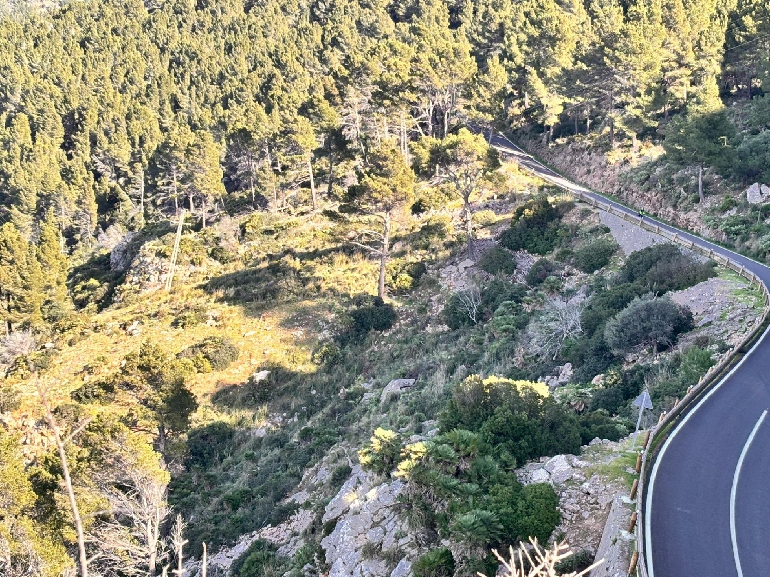  for sale house Estellencs Tramuntana 2