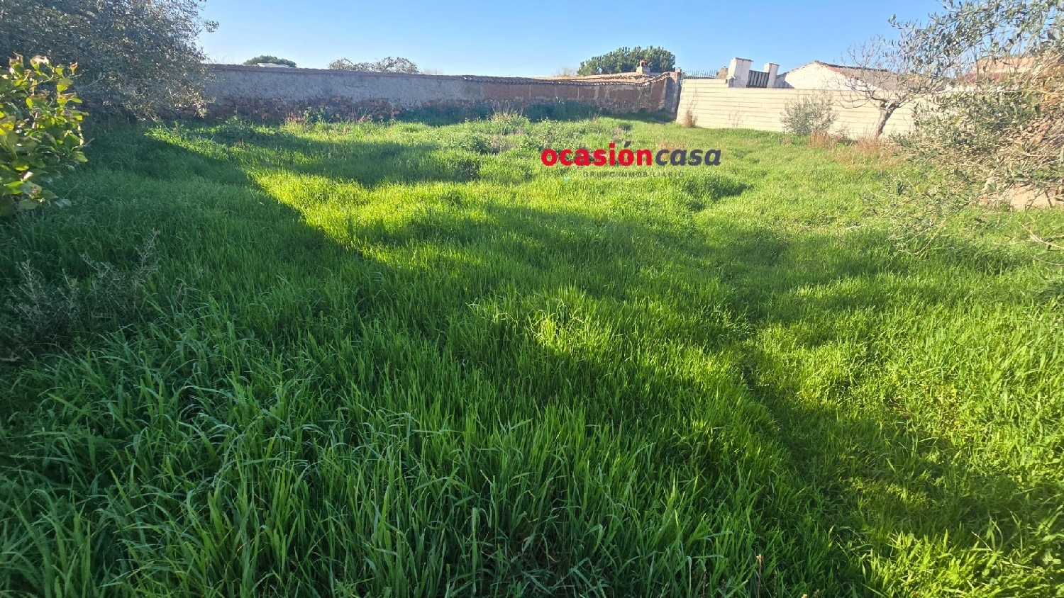  en venta casa Fuente Obejuna Valle Del Guadiato 3
