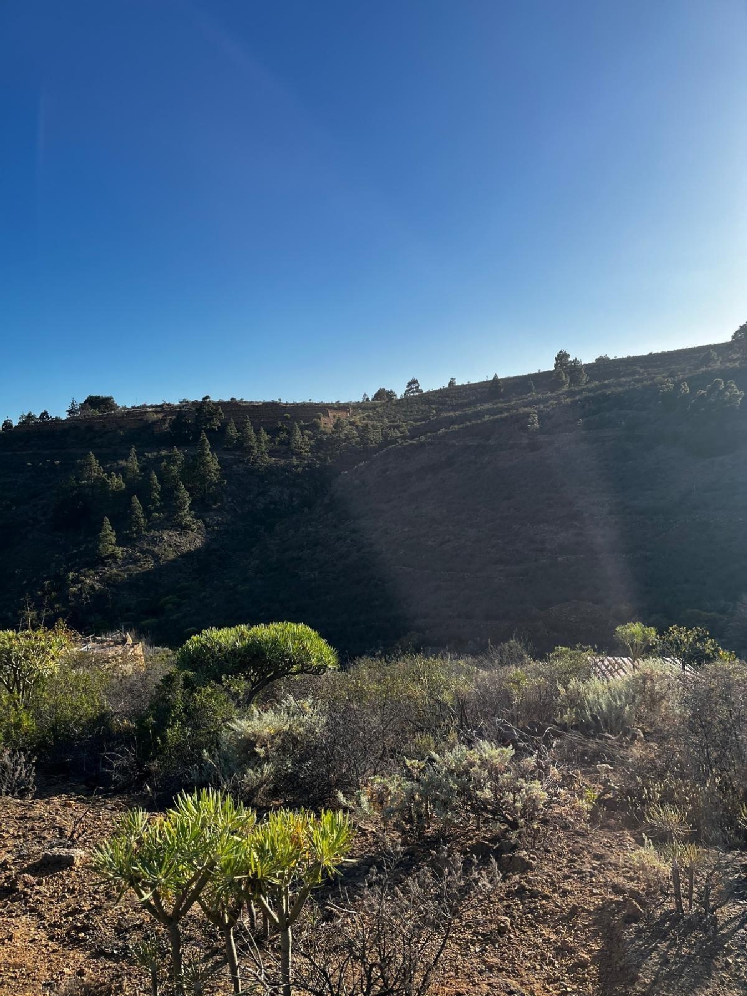  kaufen Haus Granadilla De Abona Zona Sur 2