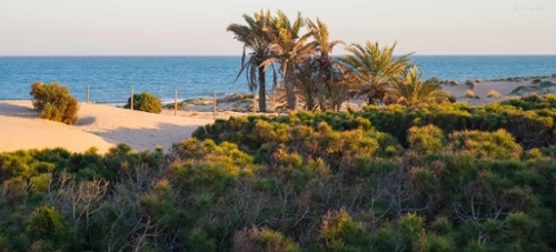  te koop huis Guardamar Del Segura Baix Segura 2